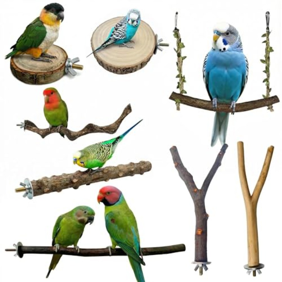 Health & Wellness Llc - 8PCS natural wood bird perches for
